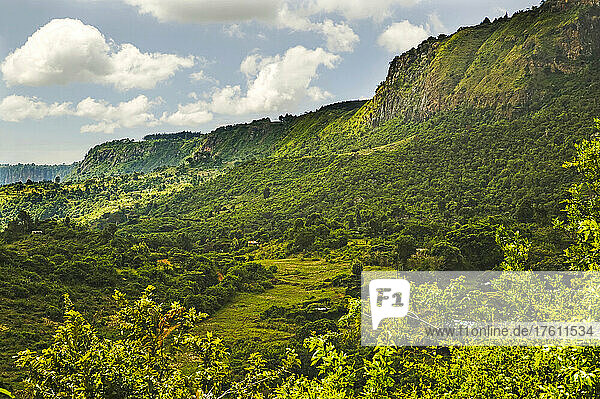 Ein waldbedeckter Gebirgszug und Steilhang im Westen Kenias; Der Elgeyo-Steilhang am westlichen Rand des Kerio-Tals in der Nähe von Kabarnet  Westkenia.