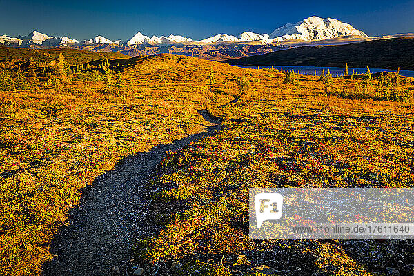 Pfad durch den herbstlich gefärbten Weg zum Mount Denali (McKinley) und zum Wonder Lake; Denali National Park and Preserve  Interior Alaska  Alaska  Vereinigte Staaten von Amerika