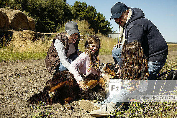 Eltern kauern neben ihren beiden kleinen Mädchen  die auf dem Boden sitzen und den Familienhund auf ihrer Farm streicheln; Alcomdale  Alberta  Kanada