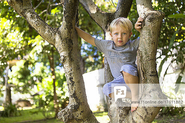 Junge mit blauen Augen und nackten Füßen  der auf einen Baum klettert; Vientiane  Präfektur Vientiane  Laos