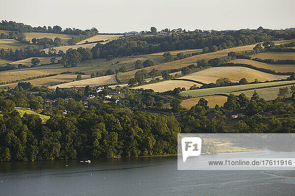 A summer riverside agricultural landscape in southern England.; River Teign  Teignmouth  Devon  Great Britain.