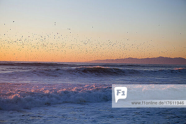 Vögel fliegen bei Sonnenuntergang über die Uferpromenade.