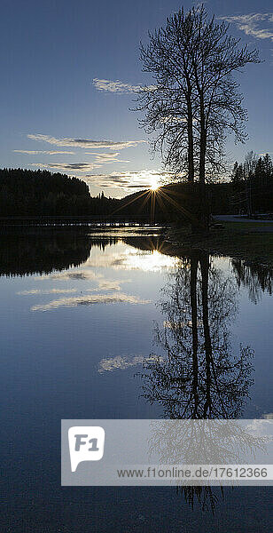 Spiegelbild von Baum und Wald an einem See bei Sonnenuntergang; Likely  British Columbia  Kanada