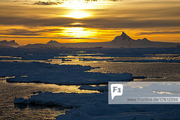 Pack ice at sunset.