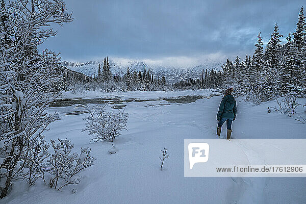 View taken from behind of a woman standing in the snow enjoying the view along the Wheaton River in winter with the mountains in the distance; Whitehorse  Yukon  Canada