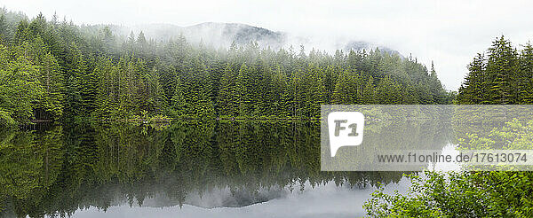 Niedrige Wolken sitzen auf den Baumkronen eines üppigen Waldes  der sich in einem ruhigen Rice Lake spiegelt  Lynn Valley Canyon  North Vancouver  BC  Kanada; North Vancouver  British Columbia  Kanada