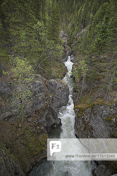 Rauschender Fluss  der durch eine Schlucht in einem zerklüfteten Waldgebiet entlang des Highway 16 zwischen Terrace und Prince George in BC  Kanada  fließt; British Columbia  Kanada