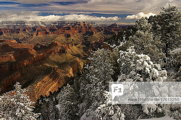 Neuschnee am South Rim  Grand Canyon National Park.