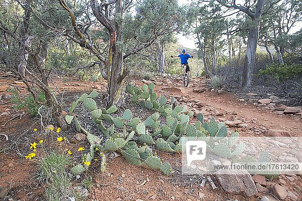 A man on a unicycle rides a rocky single track trail in the desert.; Sedona  Arizona.