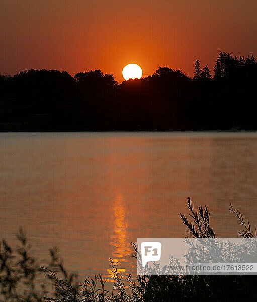 Die Sonne geht hinter silhouettierten Bäumen am Red River unter und spiegelt sich im ruhigen Wasser; Winnipeg  Manitoba  Kanada