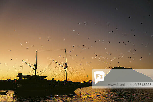 Vogelschwarm im Sonnenuntergang über Wasser und Segelschiff entlang der Küste  Komodo-Nationalpark; Ost-Nusa Tenggara  Indonesien