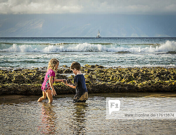 A young boy and a young girl inspecting a rock as they stand in the ocean water off a beach at Ka'anapali with a view of the Island of Molokai and a sailboat in the distance; Ka'anapali  Maui  Hawaii  United States of America