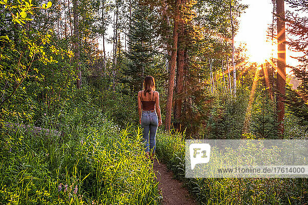 A woman hiking through a Colorado forest at sunset.