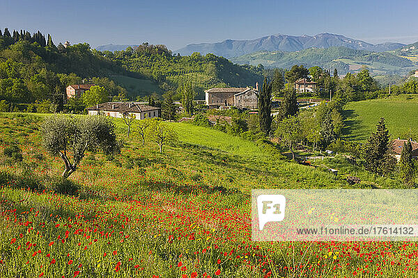 Gebäude und Landschaft in der Nähe von Urbino; Urbino  Le Marche  Italien