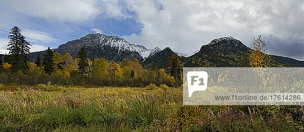 Autumn foliage and rugged mountains along Highway 16 driving east from Terrace  BC; British Columbia  Canada