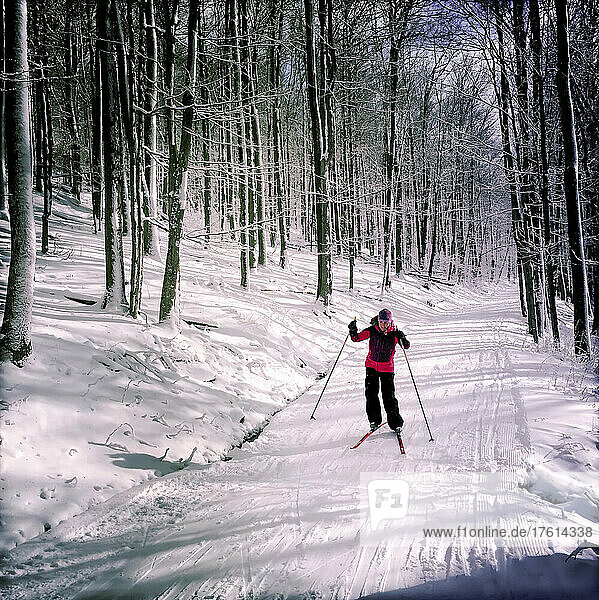 A woman cross country skate skis at the Whitegrass Touring Center.; Canaan Valley  West Virginia.