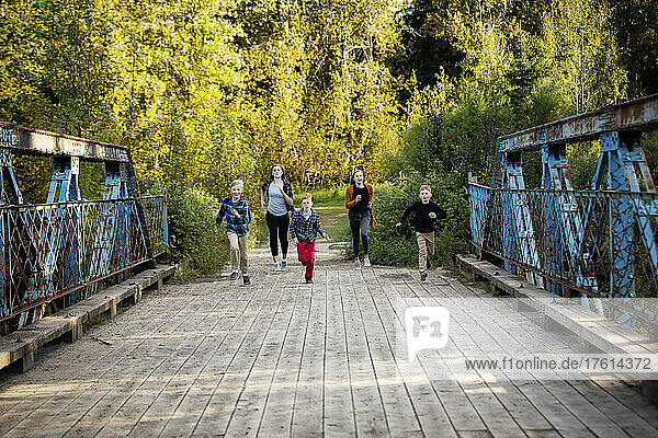 Five siblings  two girls and three boys  running across a bridge in a park in autumn; Edmonton  Alberta  Canada