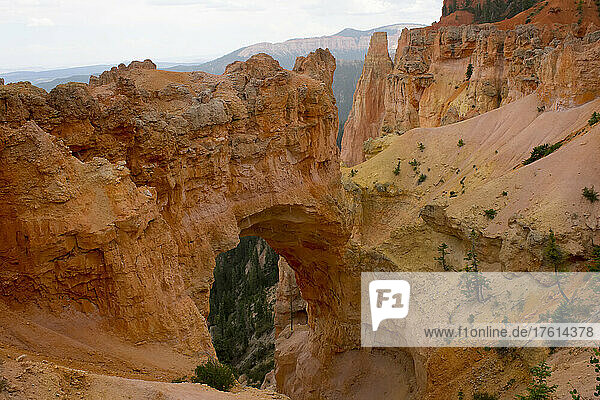 Bunter roter Sandstein der Natural Bridge  ein Felsbogen im Bryce Canyon National Park; Panguitch  Utah  Vereinigte Staaten von Amerika