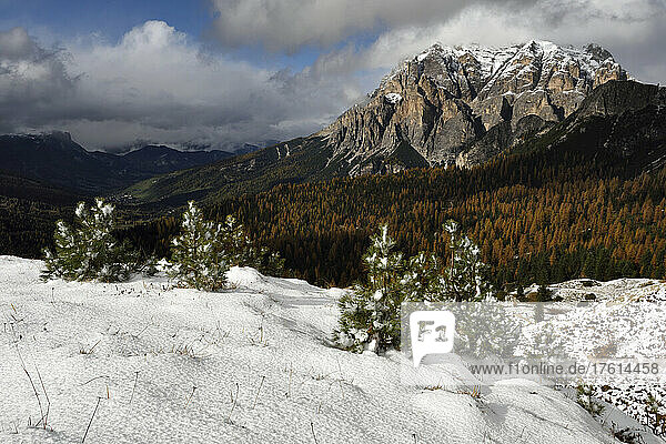 Conturines-Spitze mountain in the Italian Dolomites.; Cortina d'Ampezzo  Dolomites  Italy.