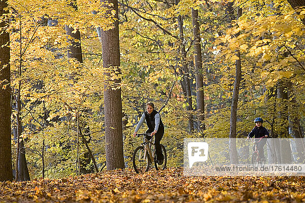 Frau fährt mit dem Fahrrad durch Herbstlaub; Chesapeak and Ohio Canal Towpath  Cabin John  Maryland.