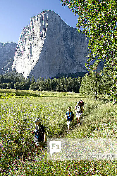 Boys on a family hike with their Mom and one year old sister.; El Capitan in Yosemite National Park  California.