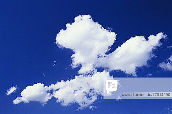 Weiße Schäfchenwolken am strahlend blauen Himmel; Oregon  Vereinigte Staaten von Amerika