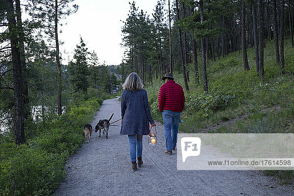 Ein Ehepaar geht in der Dämmerung mit seinen beiden Hunden auf einem Pfad um einen Teich spazieren; Kelowna  British Columbia  Kanada