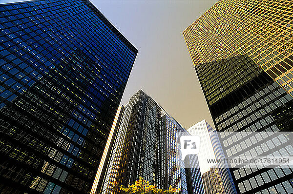 Blick nach oben auf die Bürotürme Toronto  Ontario  Kanada