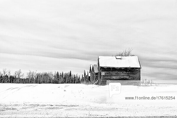 Weathered wooden buildings in a row across a snowy countryside during an Alberta winter  Frog Lake First Nation; Frog Lake  Alberta  Canada