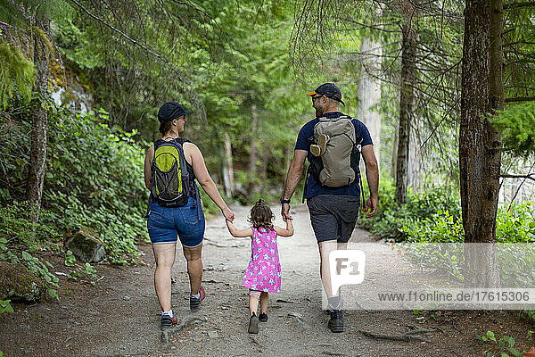 Young family holding hands and walking down a trail on a hike together in Smuggler Cove Marine Provincial Park along the Sunshine Coast of BC  Canada; British Columbia  Canada
