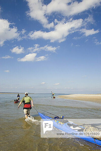 Paddlers dragging loaded sea-kayaks through shallow water; Core Banks  North Carolina