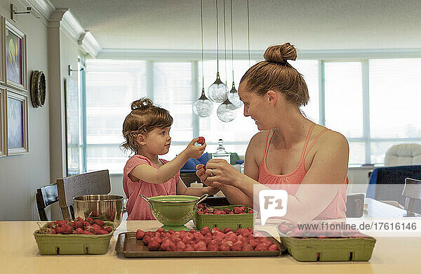 Mutter und kleine Tochter sortieren frische Erdbeeren auf dem Küchentisch zu Hause; Surrey  British Columbia  Kanada