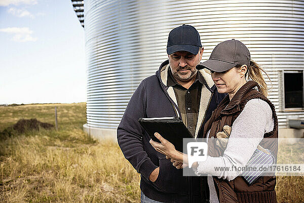 Älteres Ehepaar bei der Arbeit auf dem Bauernhof  vor den Getreidesilos stehend und den Tablet-Computer konsultierend; Alcomdale  Alberta  Kanada