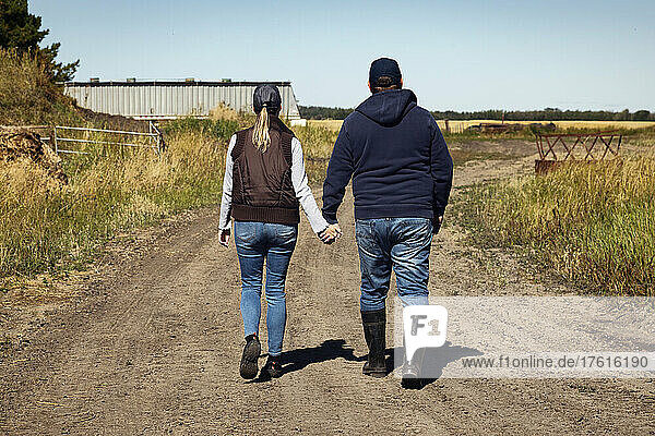 View Taken from behind of a mature couple holding hands and walking along a dirt road on their farm; Alcomdale  Alberta  Canada