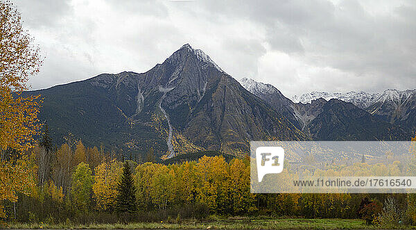 Herbstlaub und zerklüftete Berge entlang des Highway 16 in Richtung Westen durch Smithers  BC und darüber hinaus; British Columbia  Kanada