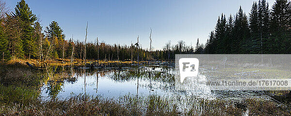 Ein ruhiger  von Wäldern umgebener See in der Region Laurentides in Quebec; Quebec  Kanada