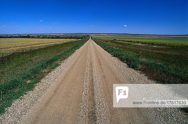 Ländliche Straße bei Arcola  Saskatchewan  Kanada