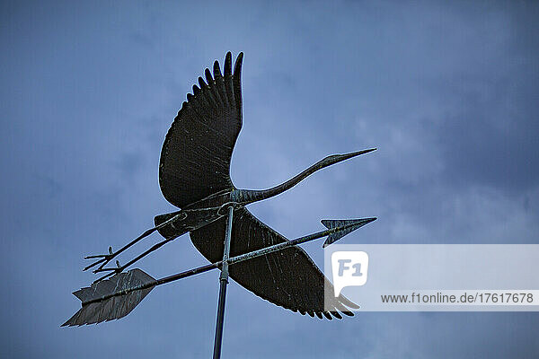 Nahaufnahme einer Metallwindfahne in Form eines Vogels vor einem bewölkten Himmel; Vancouver  British Columbia  Kanada