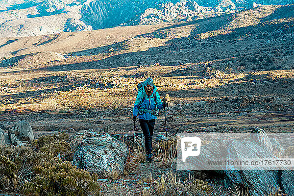 A woman hiking in the Eastern Sierra in winter; Bishop  California  United States of America