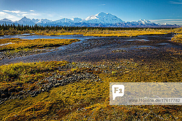 View of Mount Denali (McKinley) with golden tundra and a creek with muddy marshland in the foreground; Denali National Park and Preserve  Interior Alaska  Alaska  United States of America