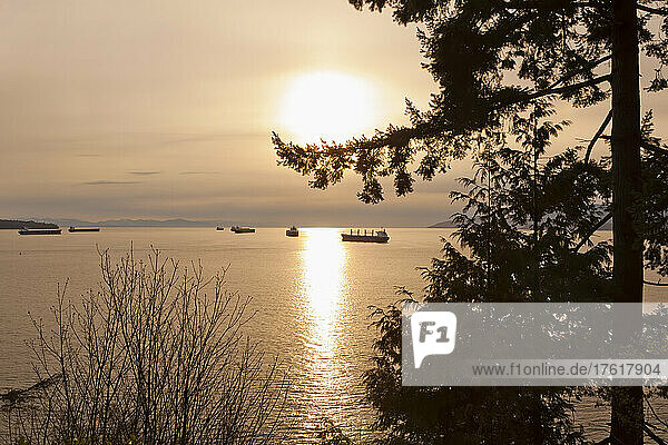 Frachter  Burrard Inlet  English Bay  Stanley Park  Vancouver  British Columbia  Kanada