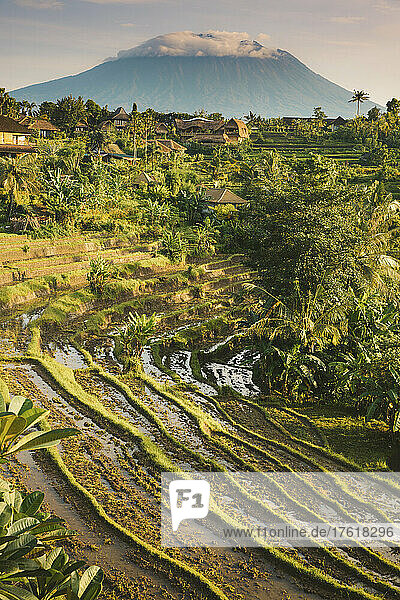 Üppiges Ackerland mit grüner Vegetation und einem einsamen Berg entlang der Skyline von Bali; Sidemen  Bali  Indonesien