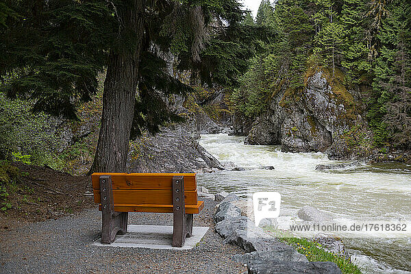 Bank neben einem rauschenden Fluss in einem zerklüfteten Waldgebiet entlang des Highway 16 zwischen Terrace und Prince George in BC  Kanada; British Columbia  Kanada