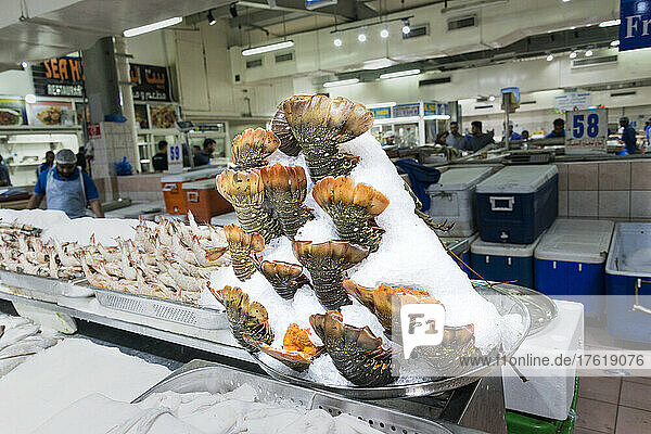 Lobster tails in ice on display of fresh seafood in the Mina Port Fish Market (Mina Zayed) in Abu Dhabi  UAE; Abu Dhabi  United Arab Emirates