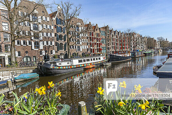Grachtenlandschaft  Brouwersgracht in Amsterdam; Amsterdam  Nordholland  Niederlande