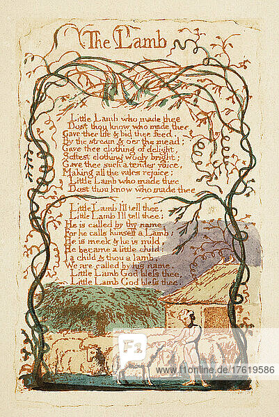 Illustration für The Lamb  aus Songs of Innocence  erstmals veröffentlicht 1799 vom englischen Dichter und Künstler William Blake  1757 - 1827.