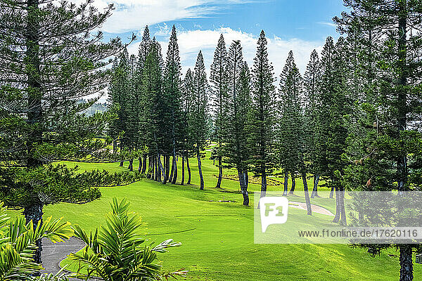 Golfplatz auf der Insel Maui  Hawaii  USA; Maui  Hawaii  Vereinigte Staaten von Amerika