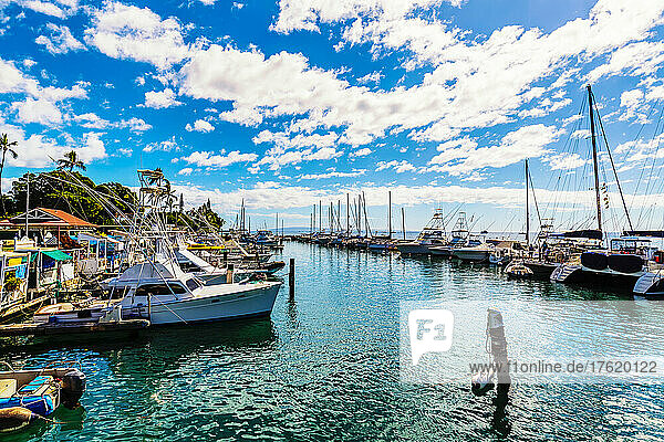 Boats moored in a harbour in Lahaina; Maui  Hawaii  United States of America
