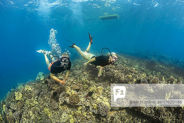 Two woman on surface supply air equipment to breathe underwater explore a reef; Hawaii  United States of America