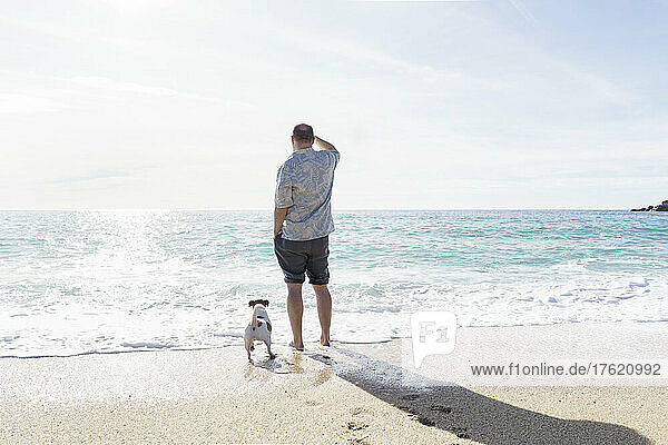 Man and dog by sea coastline on sunny day